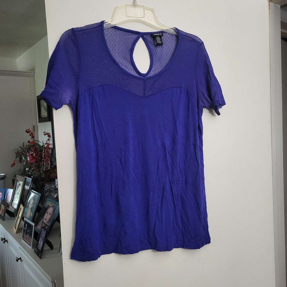 Purple top with sheer feature (Torrid)